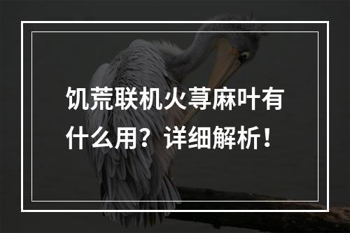 饥荒联机火荨麻叶有什么用？详细解析！