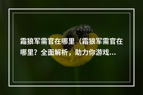 霜狼军需官在哪里（霜狼军需官在哪里？全面解析，助力你游戏胜利！）