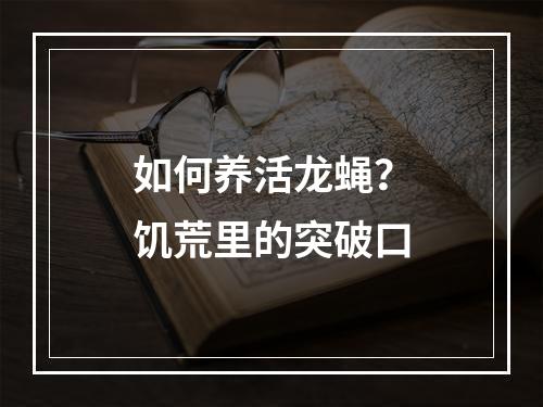 如何养活龙蝇？饥荒里的突破口