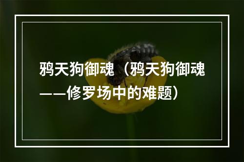 鸦天狗御魂（鸦天狗御魂——修罗场中的难题）