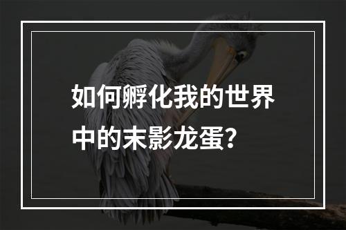 如何孵化我的世界中的末影龙蛋？