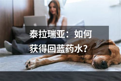 泰拉瑞亚：如何获得回蓝药水？