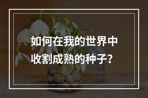 如何在我的世界中收割成熟的种子？