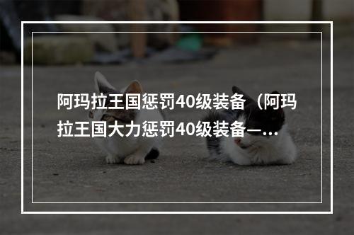 阿玛拉王国惩罚40级装备（阿玛拉王国大力惩罚40级装备——让你更快更好地进阶！）