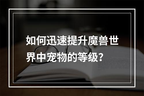 如何迅速提升魔兽世界中宠物的等级？