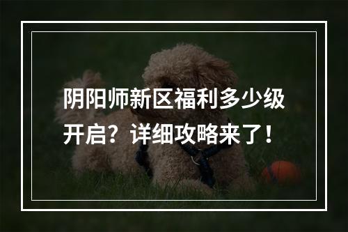 阴阳师新区福利多少级开启？详细攻略来了！