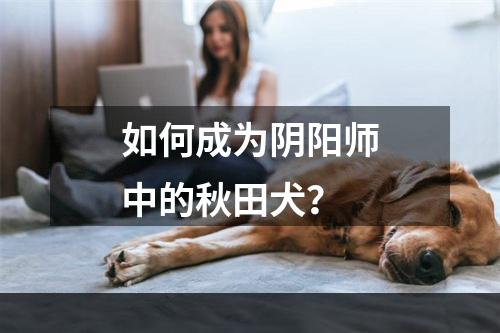 如何成为阴阳师中的秋田犬？