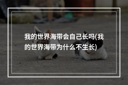 我的世界海带会自己长吗(我的世界海带为什么不生长)