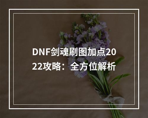 DNF剑魂刷图加点2022攻略：全方位解析