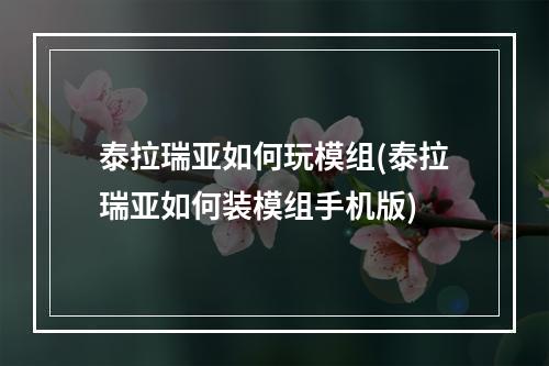 泰拉瑞亚如何玩模组(泰拉瑞亚如何装模组手机版)