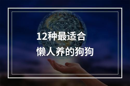 12种最适合懒人养的狗狗