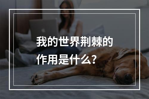 我的世界荆棘的作用是什么？