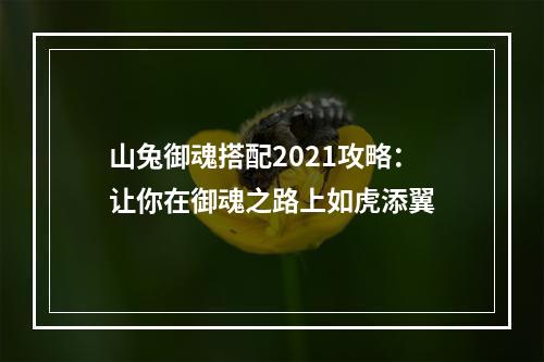 山兔御魂搭配2021攻略：让你在御魂之路上如虎添翼