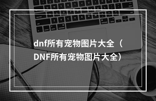 dnf所有宠物图片大全（DNF所有宠物图片大全）