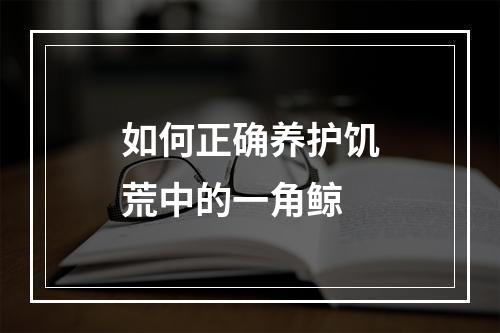 如何正确养护饥荒中的一角鲸