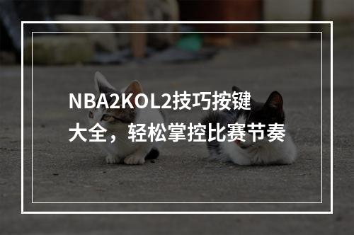 NBA2KOL2技巧按键大全，轻松掌控比赛节奏