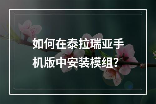 如何在泰拉瑞亚手机版中安装模组？