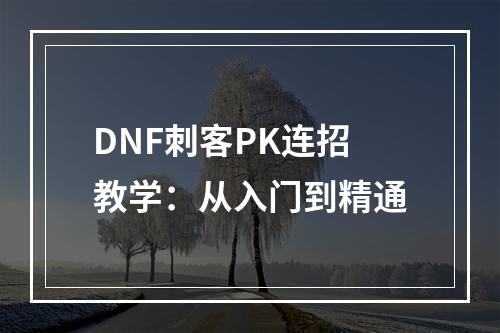 DNF刺客PK连招教学：从入门到精通