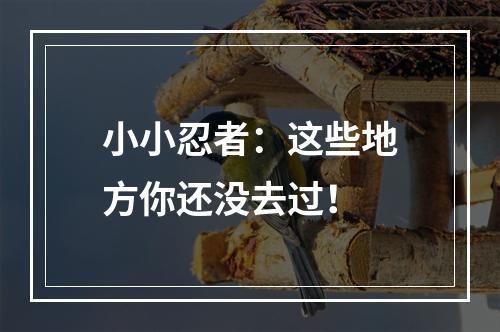 小小忍者：这些地方你还没去过！