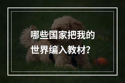 哪些国家把我的世界编入教材？