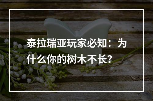 泰拉瑞亚玩家必知：为什么你的树木不长？