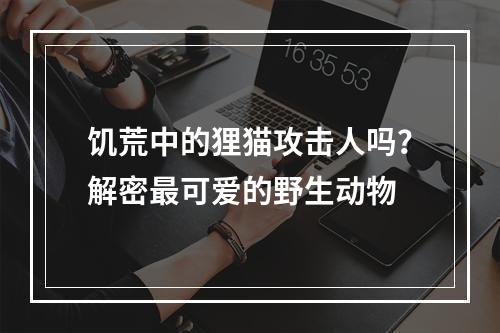 饥荒中的狸猫攻击人吗？解密最可爱的野生动物