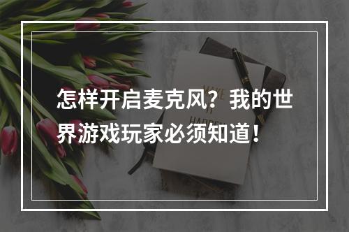 怎样开启麦克风？我的世界游戏玩家必须知道！