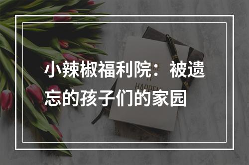 小辣椒福利院：被遗忘的孩子们的家园