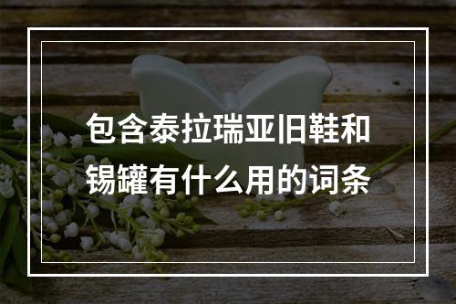 包含泰拉瑞亚旧鞋和锡罐有什么用的词条