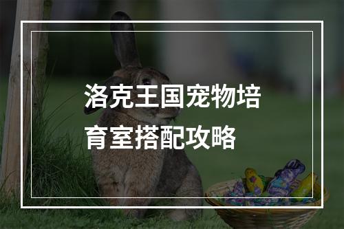 洛克王国宠物培育室搭配攻略