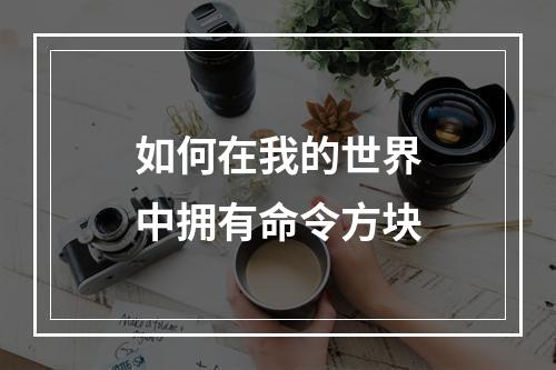 如何在我的世界中拥有命令方块