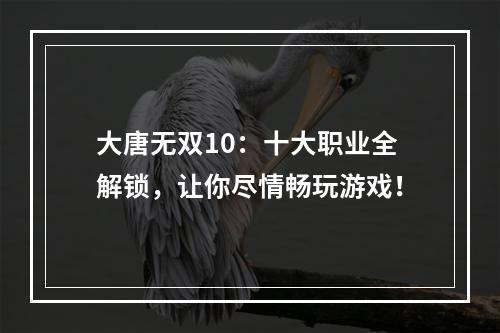 大唐无双10：十大职业全解锁，让你尽情畅玩游戏！