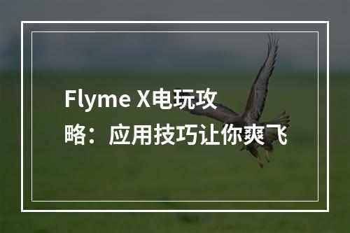 Flyme X电玩攻略：应用技巧让你爽飞