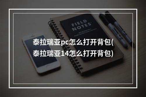 泰拉瑞亚pc怎么打开背包(泰拉瑞亚14怎么打开背包)