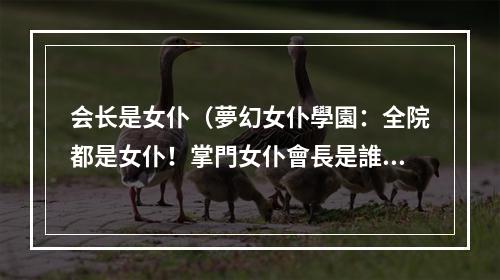 会长是女仆（夢幻女仆學園：全院都是女仆！掌門女仆會長是誰？）