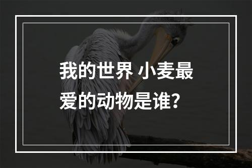 我的世界 小麦最爱的动物是谁？