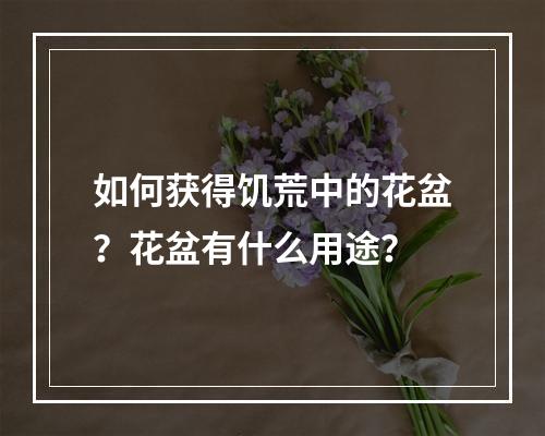 如何获得饥荒中的花盆？花盆有什么用途？