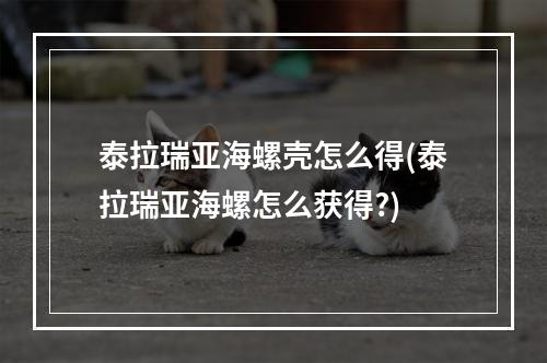 泰拉瑞亚海螺壳怎么得(泰拉瑞亚海螺怎么获得?)