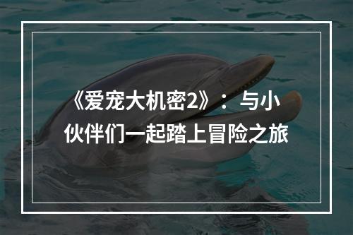 《爱宠大机密2》：与小伙伴们一起踏上冒险之旅