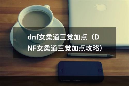 dnf女柔道三觉加点（DNF女柔道三觉加点攻略）