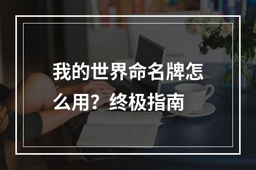 我的世界命名牌怎么用？终极指南