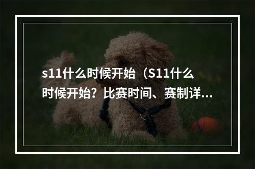 s11什么时候开始（S11什么时候开始？比赛时间、赛制详解）