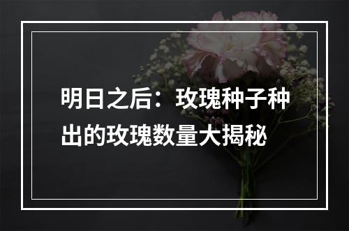 明日之后：玫瑰种子种出的玫瑰数量大揭秘