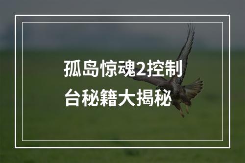 孤岛惊魂2控制台秘籍大揭秘