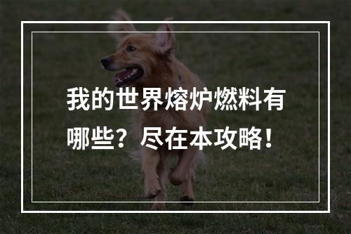 我的世界熔炉燃料有哪些？尽在本攻略！