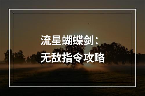 流星蝴蝶剑：无敌指令攻略