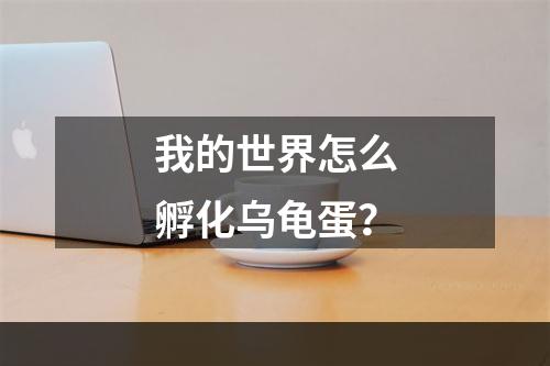 我的世界怎么孵化乌龟蛋？