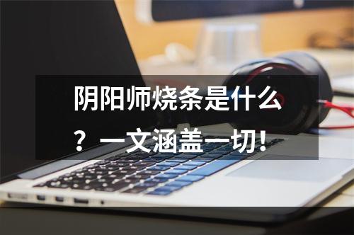 阴阳师烧条是什么？一文涵盖一切！