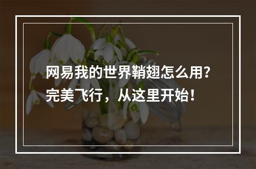 网易我的世界鞘翅怎么用？完美飞行，从这里开始！