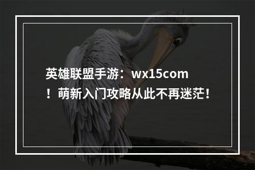 英雄联盟手游：wx15com！萌新入门攻略从此不再迷茫！